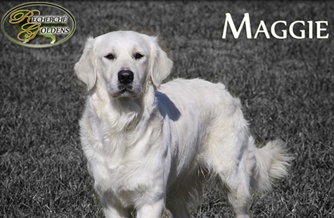 Maggie-new-featured