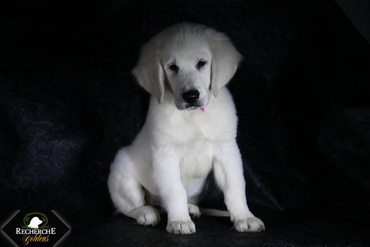 Sookie_Mar18_14W_6660
