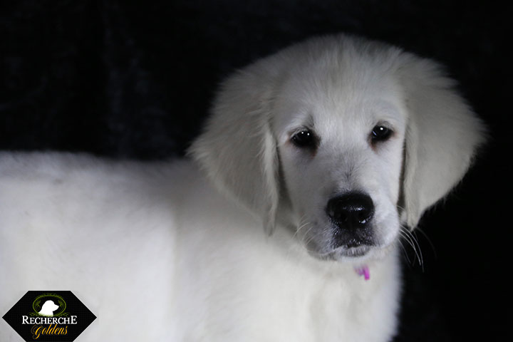 Sookie_Mar18_14W_6662