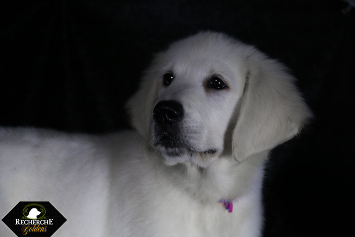 Sookie_Mar18_14W_6664