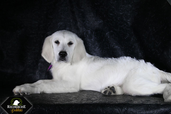 Sookie_Mar18_16Weeks_7765
