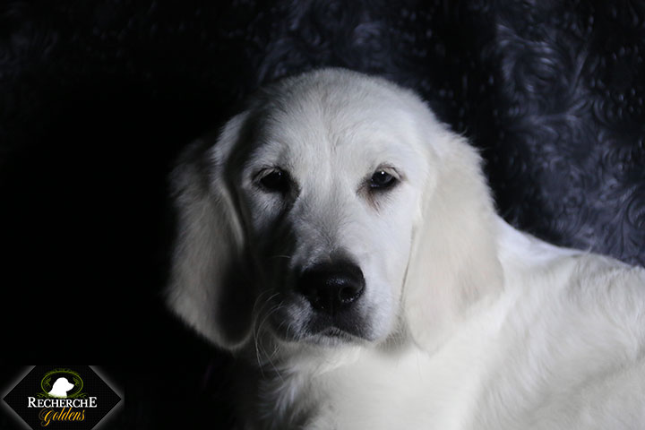 Sookie_Mar18_16Weeks_7766