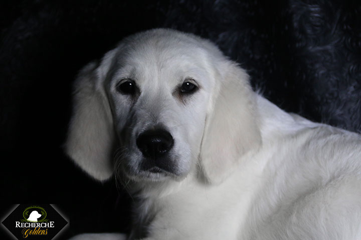 Sookie_Mar18_16Weeks_7768
