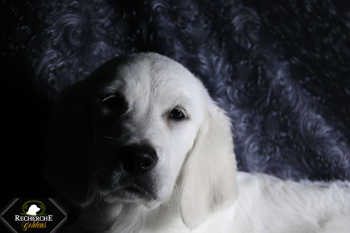 Sookie_Mar18_16Weeks_7769