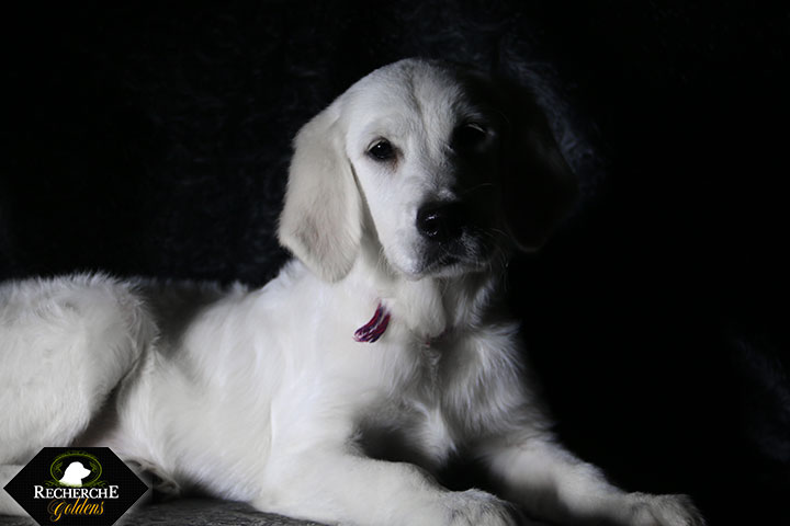 Sookie_Mar18_16Weeks_7770