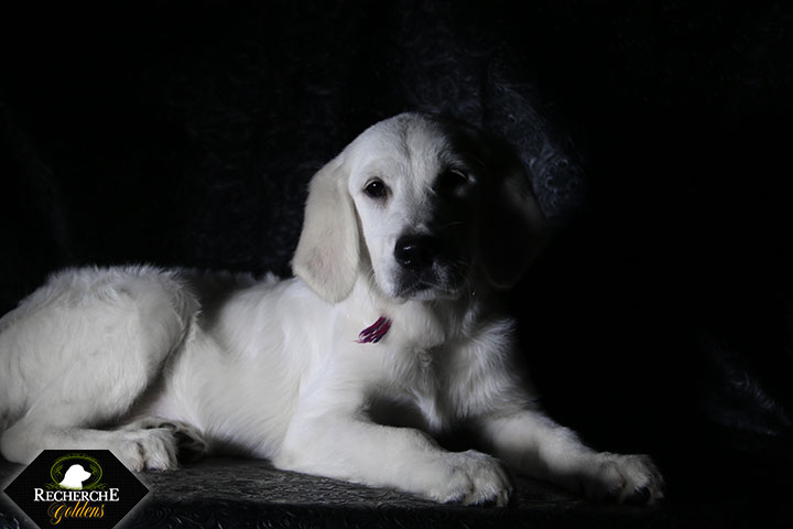 Sookie_Mar18_16Weeks_7771