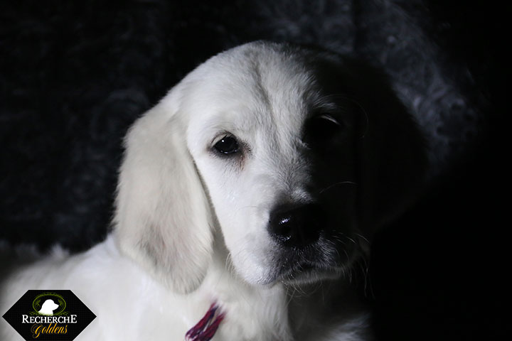 Sookie_Mar18_16Weeks_7772