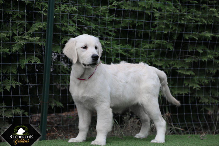 Sookie_Mar18_16Weeks_7807