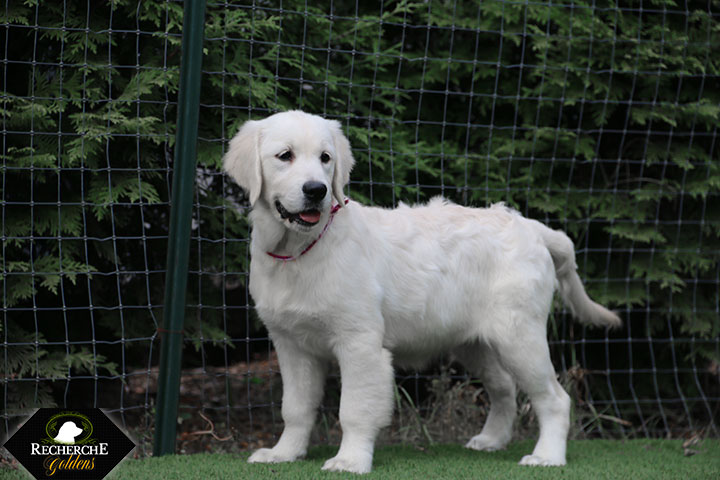 Sookie_Mar18_16Weeks_7808