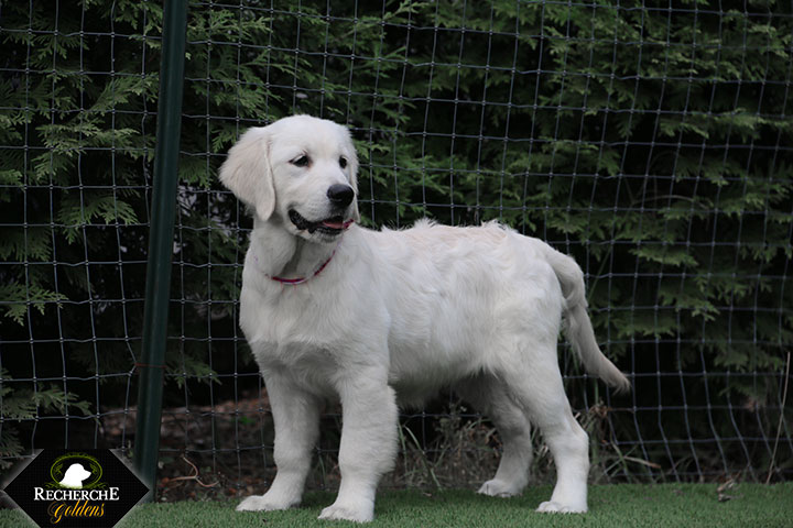 Sookie_Mar18_16Weeks_7810