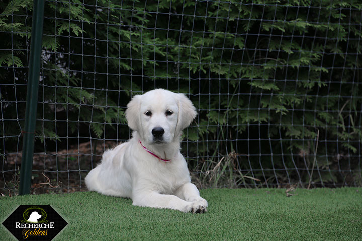 Sookie_Mar18_16Weeks_7812