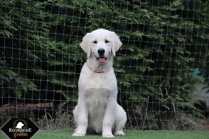 Sookie_Mar18_16Weeks_7825