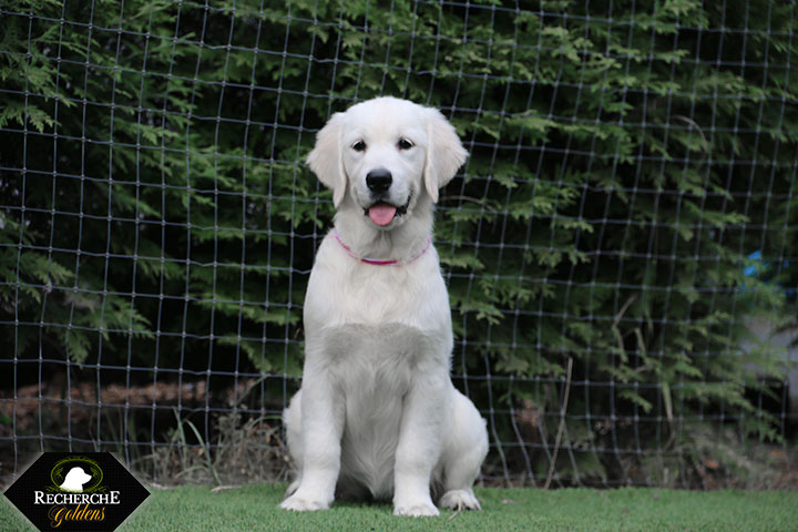 Sookie_Mar18_16Weeks_7827