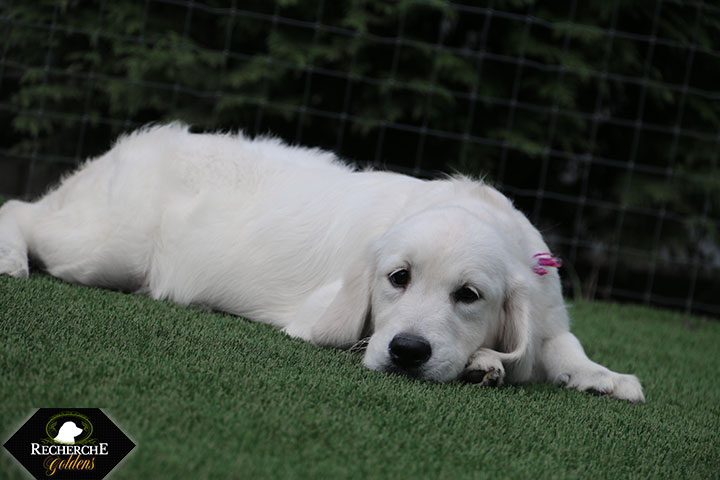 Sookie_Mar18_16Weeks_7832