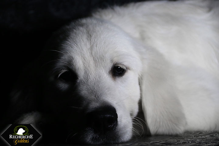 Sookie_Mar18_16Weeks_7836