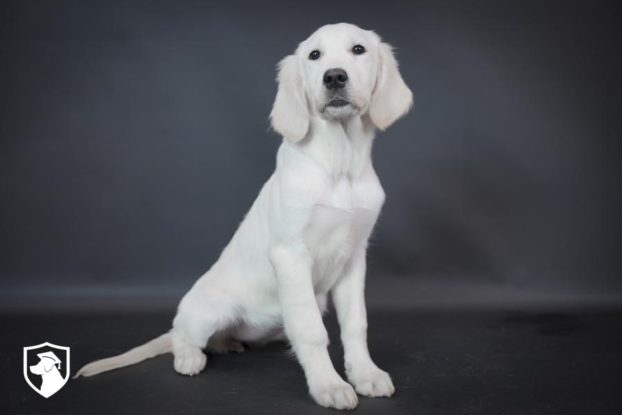 Olive_Feb25_White_6.18.25-03740
