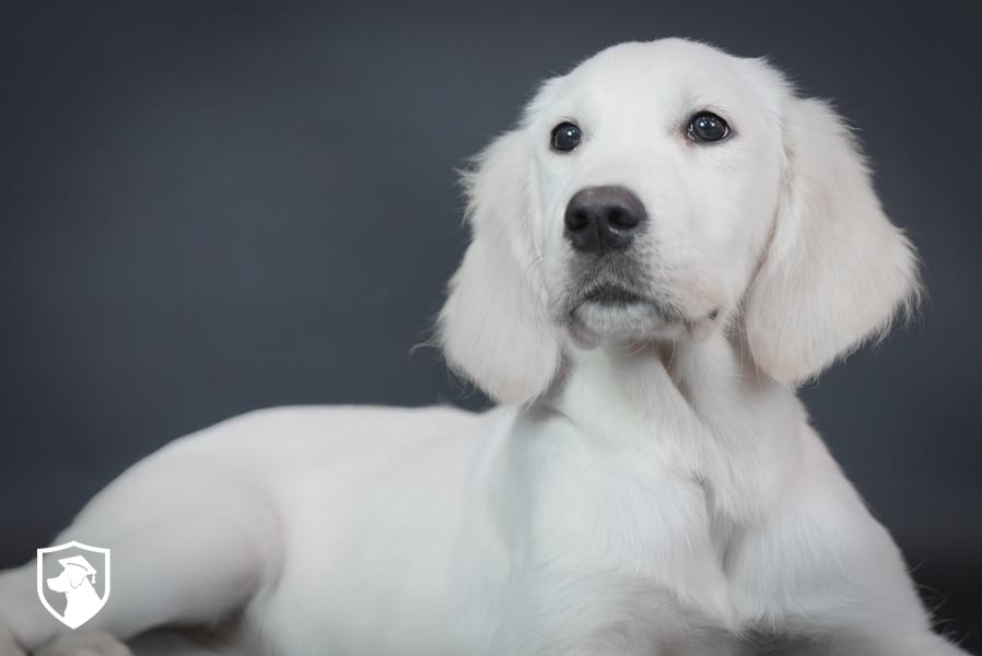 Olive_Feb25_White_6.18.25-03768