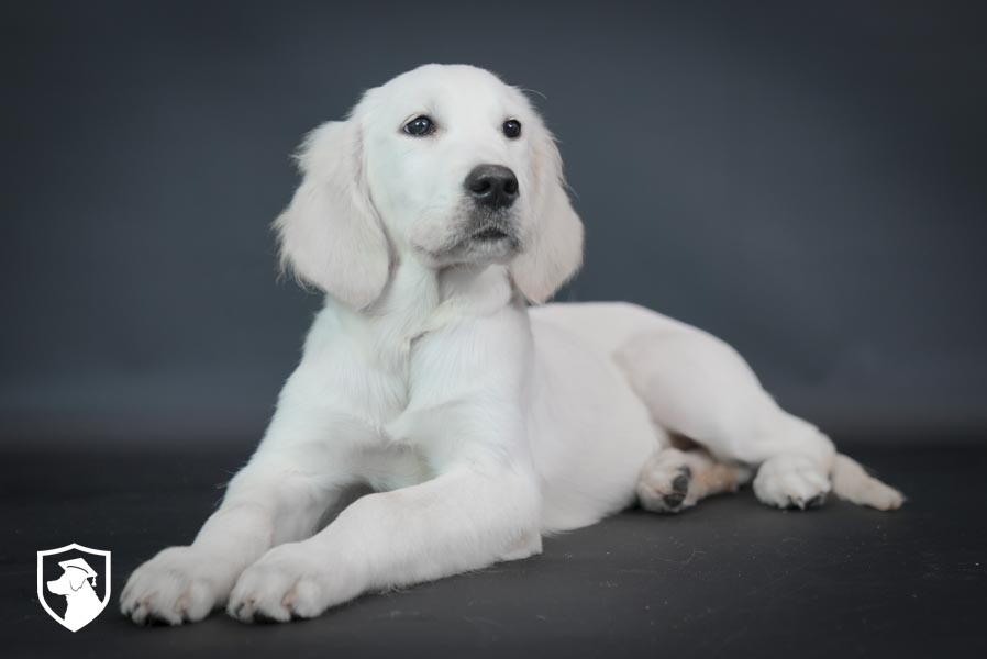 Olive_Feb25_White_6.18.25-03823