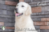 Ephah_Web 6